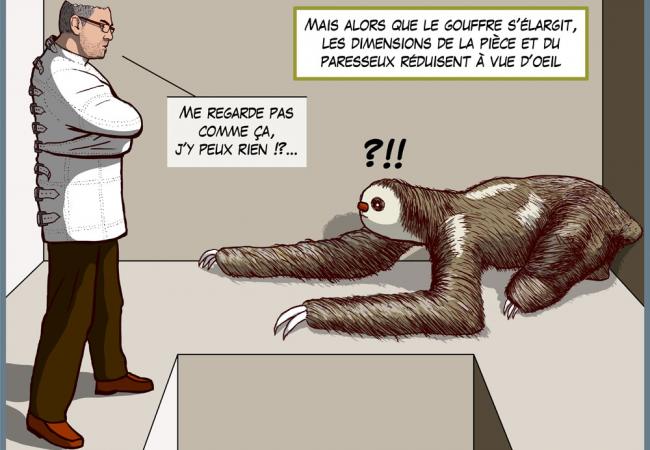 Bd en gestation...